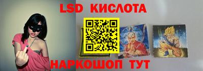ПСИЛОЦИБИНОВЫЕ ГРИБЫ Гусев