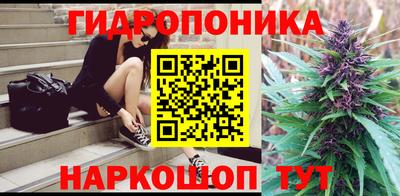 ПСИЛОЦИБИНОВЫЕ ГРИБЫ Гусев